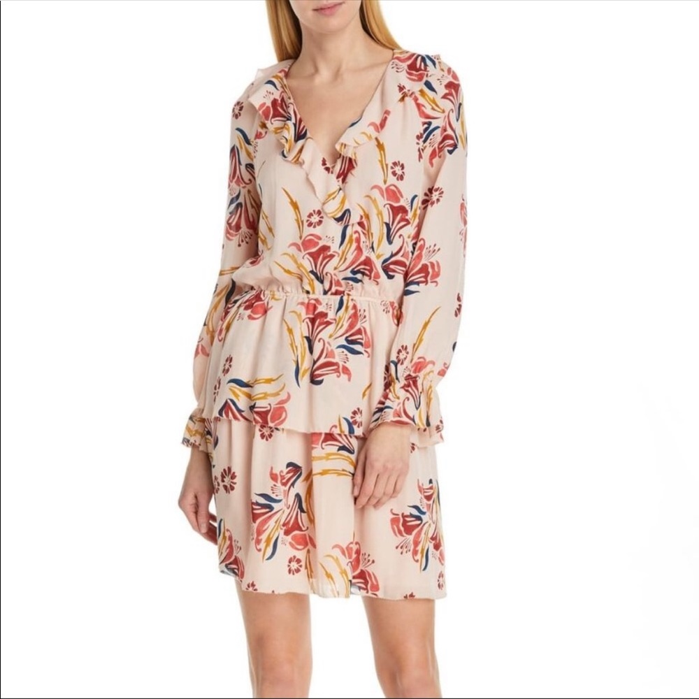 NWT Joie Nour Floral Pink Dress